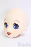 画像3: DD/DDH-04:カスタムヘッド/BJD　球体関節人形 I-26-01-11-191-KD-ZI (3)