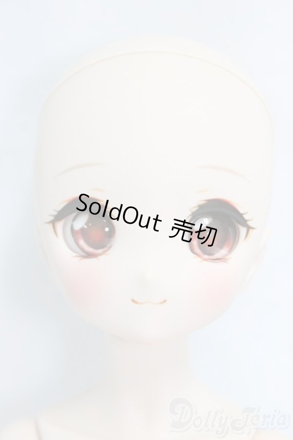 画像1: MDD/ドリームチョイス:DC-H-27/BJD　球体関節人形 I-26-01-11-197-KD-ZI (1)