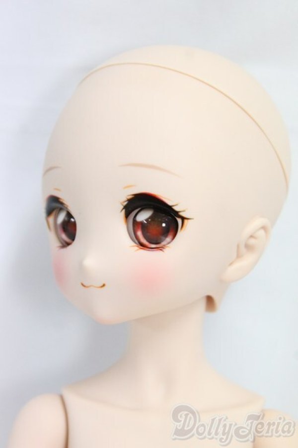 画像3: MDD/ドリームチョイス:DC-H-27/BJD　球体関節人形 I-26-01-11-197-KD-ZI (3)