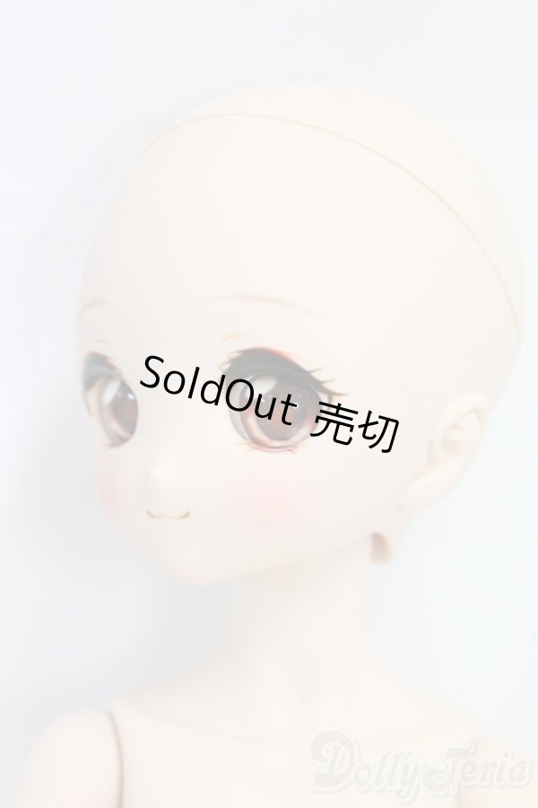 画像3: MDD/ドリームチョイス:DC-H-27/BJD　球体関節人形 I-26-01-11-197-KD-ZI (3)
