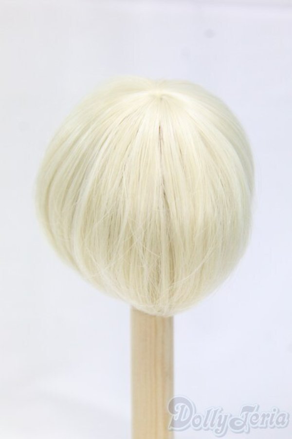 画像2: 6-7inch/ウィッグ/インチ　BJD　MJD　ドール用 I-26-01-25-009-KD-ZI (2)