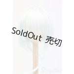 画像: 8-9inch/ウィッグ/インチ　BJD　MJD　ドール用 I-26-01-25-010-KD-ZI