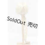 画像: 8-9inch/ウィッグ/インチ　BJD　MJD　ドール用 I-26-01-25-014-KD-ZI