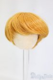 画像1: 4.5inch/ウィッグ I-26-01-18-044-KD-ZI (1)