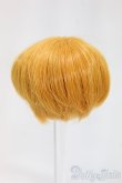 画像2: 4.5inch/ウィッグ I-26-01-18-044-KD-ZI (2)