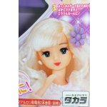 画像: リカちゃん/ミラクルカールいづみちゃん/BJD　球体関節人形 I-26-01-18-156-KD-ZI