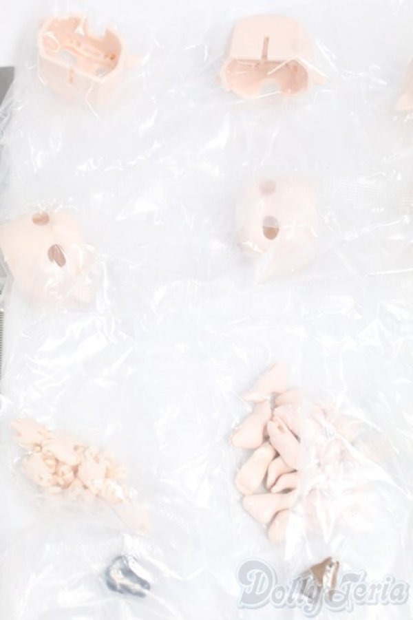 画像3: MINTY(ミンティ)/ファンタジーの森:特典まとめ I-26-01-25-211-KD-ZI (3)