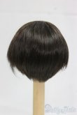 画像2: 6inch/ウィッグ/インチ　BJD　MJD　ドール用 I-26-01-25-023-KD-ZI (2)