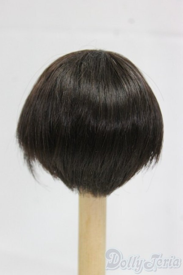 画像2: 6inch/ウィッグ/インチ　BJD　MJD　ドール用 I-26-01-25-023-KD-ZI (2)