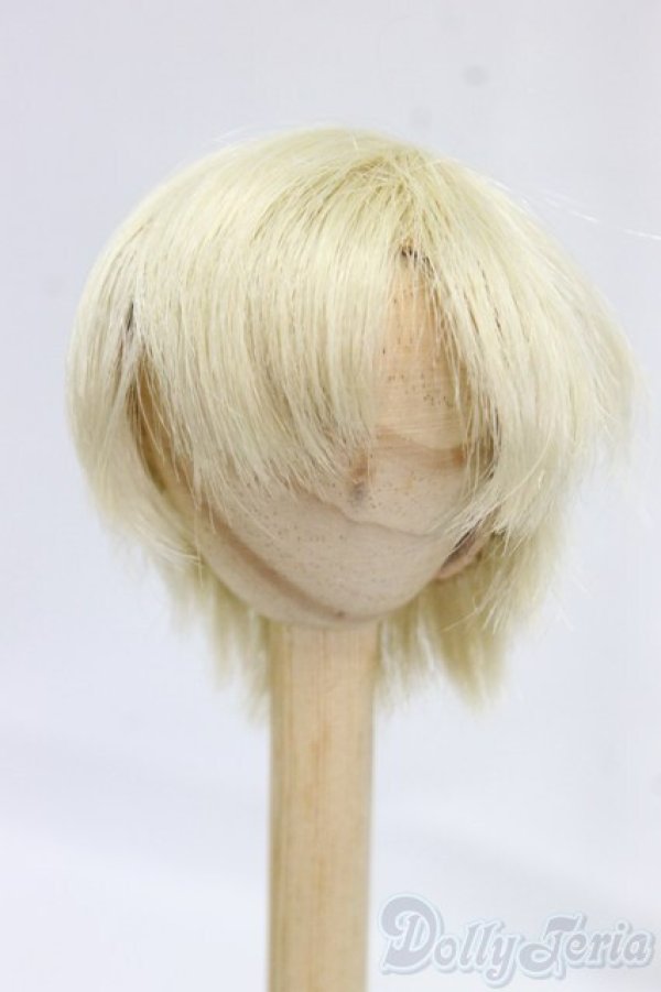 画像1: 6inch/ウィッグ/インチ　BJD　MJD　ドール用 I-26-01-25-024-KD-ZI (1)