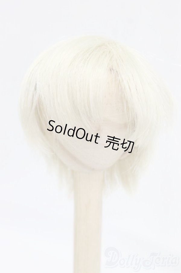 画像1: 6inch/ウィッグ/インチ　BJD　MJD　ドール用 I-26-01-25-024-KD-ZI (1)