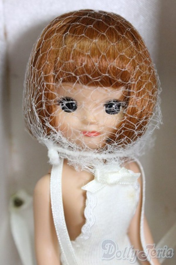 画像1: tiny betsy/Christmas Trunk Set/ I-26-01-25-154-KD-ZI (1)