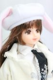 画像3: ジェニー/ラグジュアリーセレクションジェニー/BJD　球体関節人形 I-26-01-25-168-KD-ZI (3)