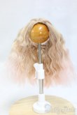 画像1: 5inch/ウィッグ I-26-01-25-239-YB-ZI (1)