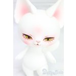 画像: DOLK x DEARMINE/PICASSO bean cool ver. I-26-01-25-253-KD-ZI