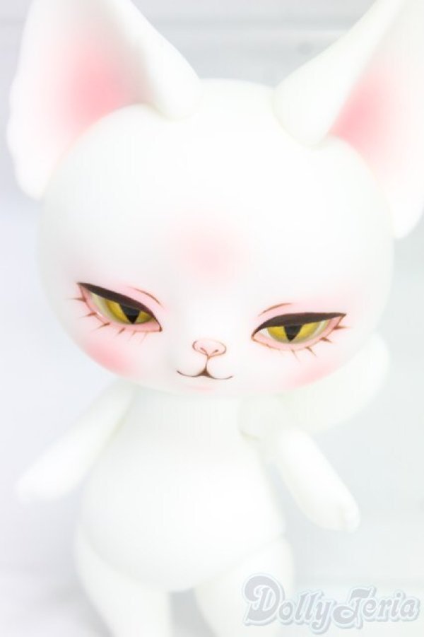 画像1: DOLK x DEARMINE/PICASSO bean cool ver. I-26-01-25-253-KD-ZI (1)