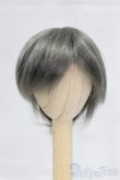 画像1: 6inch/ウィッグ I-26-01-25-240-KD-ZI (1)