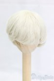 画像1: 6inch/ウィッグ I-26-01-25-238-KD-ZI (1)