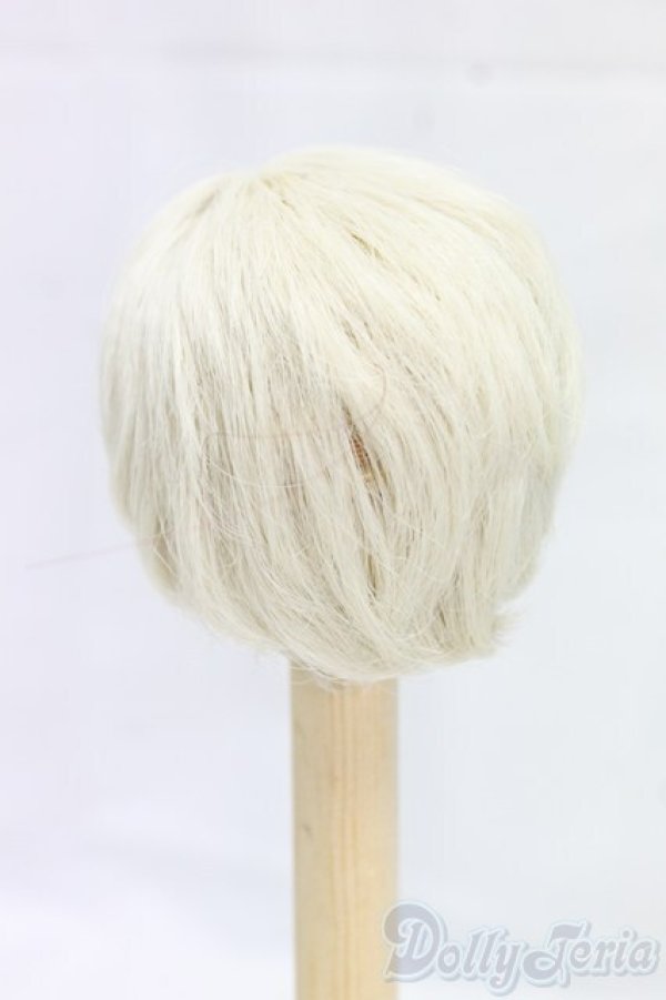 画像2: 6inch/ウィッグ I-26-01-25-238-KD-ZI (2)