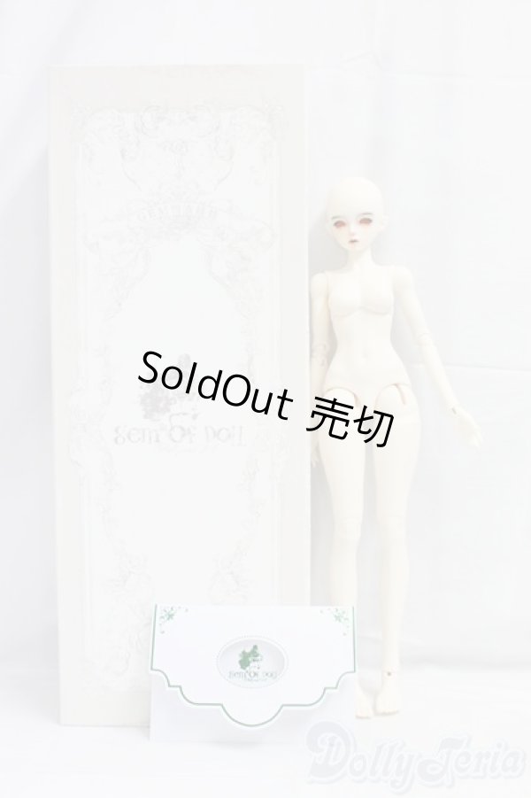 画像7: Gem of Doll/Wall I-26-01-25-298-KD-ZI (7)