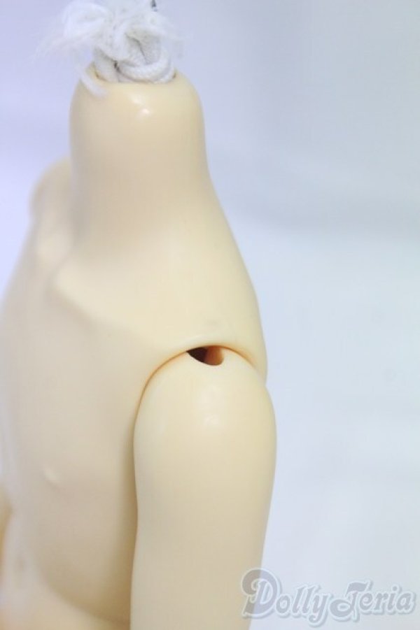 画像3: MSD男の子/ボディ I-26-02-01-272-KD-ZI (3)