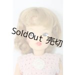 画像: タミーちゃん/本体(BS-12) I-26-02-01-158-KD-ZI