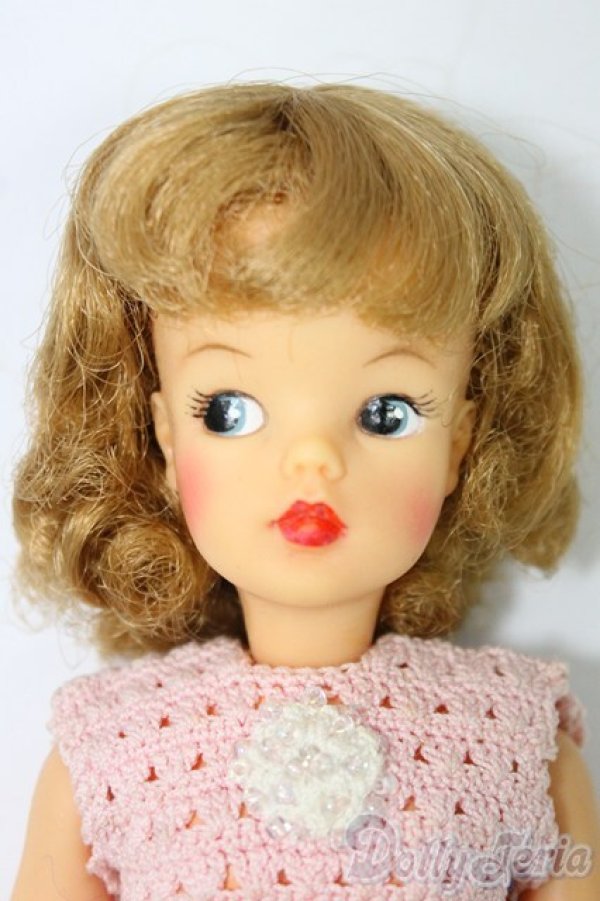 画像1: タミーちゃん/本体(BS-12) I-26-02-01-158-KD-ZI (1)