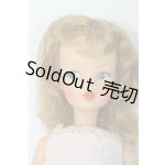 画像: タミーちゃん/本体(BS-12) I-26-02-01-157-KD-ZI