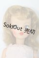 画像: タミーちゃん/本体(BS-12) I-26-02-01-157-KD-ZI