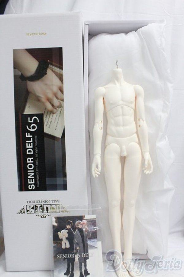 画像3: LUTS/Senior65 Delf Boy Body I-26-02-01-253-KD-ZI (3)
