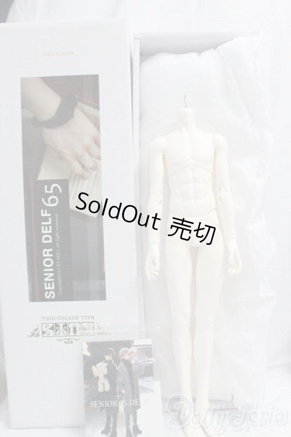 画像3: LUTS/Senior65 Delf Boy Body I-26-02-01-253-KD-ZI (3)