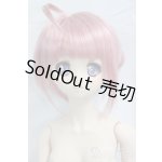 画像: DDS/ミルヒオーレ・F・ビスコッティ I-26-02-01-259-KD-ZI