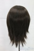 画像2: 8.5-9inch/ウィッグ I-26-02-01-084-KD-ZI (2)