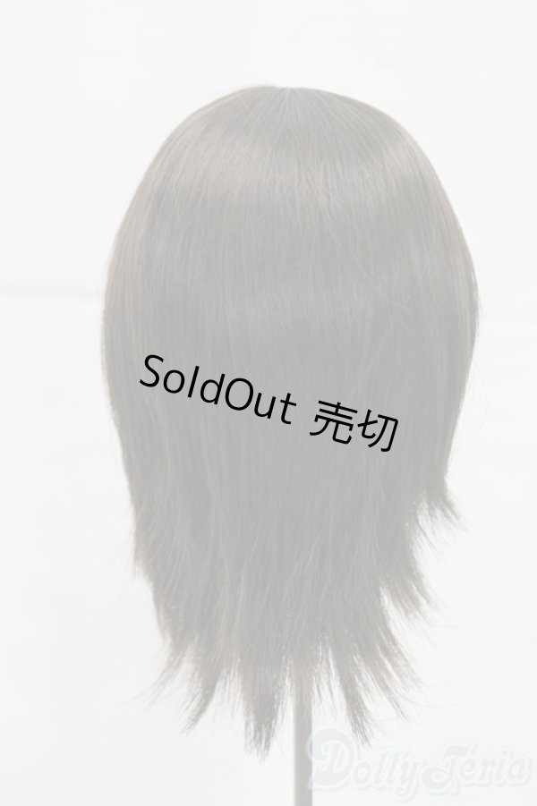 画像2: 8.5-9inch/ウィッグ I-26-02-01-084-KD-ZI (2)