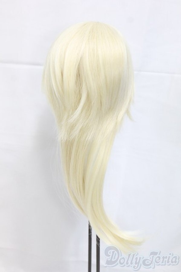 画像2: 8.5-9inch/ウィッグ I-26-02-01-085-KD-ZI (2)