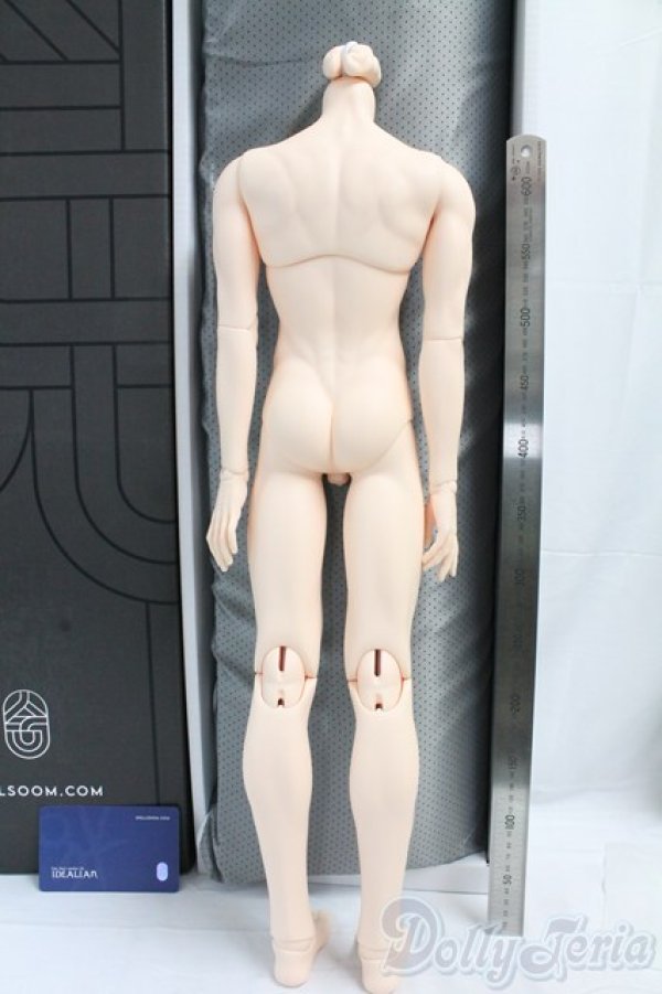 画像2: Idealian/75ボディ I-26-02-08-061-KD-ZI (2)