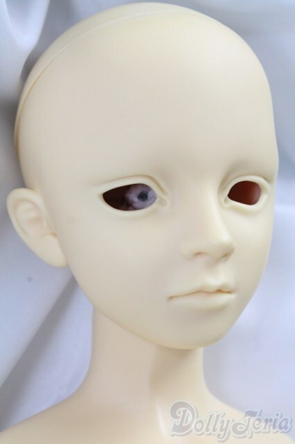 画像2: SD13男の子/フルチョイス　F-16 I-26-02-08-001-KD-ZI (2)