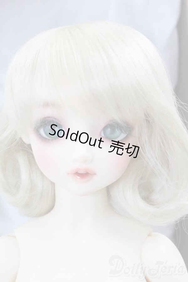 画像1: SDGIRL/リーゼロッテ the Best of the Bests Ver.2019 I-26-02-08-051-KD-ZI (1)