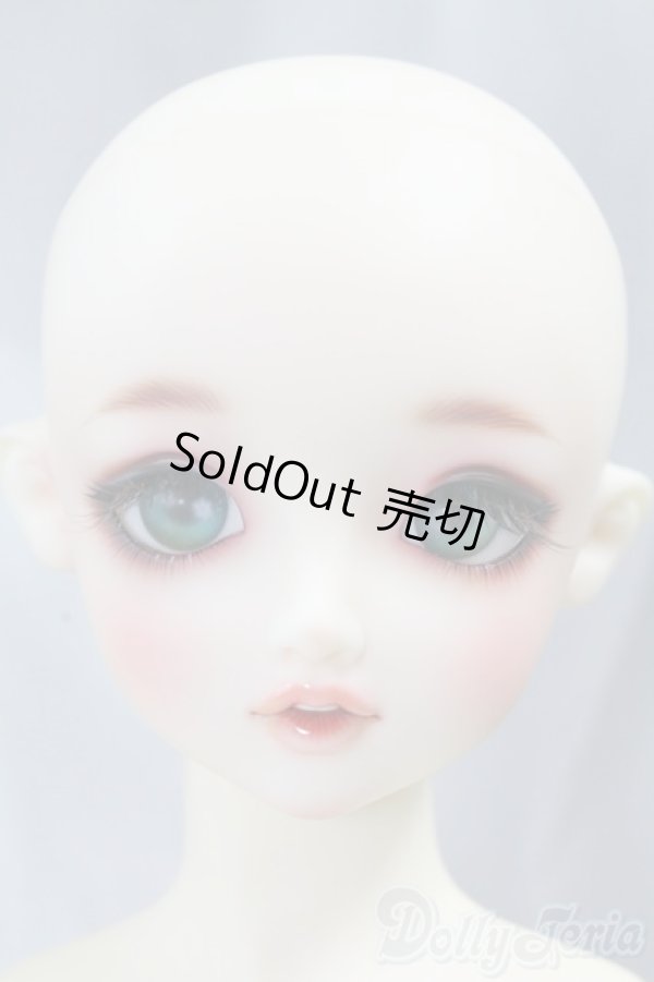 画像5: SDGIRL/リーゼロッテ the Best of the Bests Ver.2019 I-26-02-08-051-KD-ZI (5)