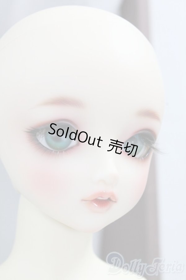 画像6: SDGIRL/リーゼロッテ the Best of the Bests Ver.2019 I-26-02-08-051-KD-ZI (6)