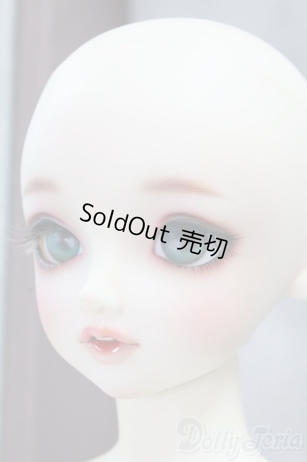 画像7: SDGIRL/リーゼロッテ the Best of the Bests Ver.2019 I-26-02-08-051-KD-ZI (7)