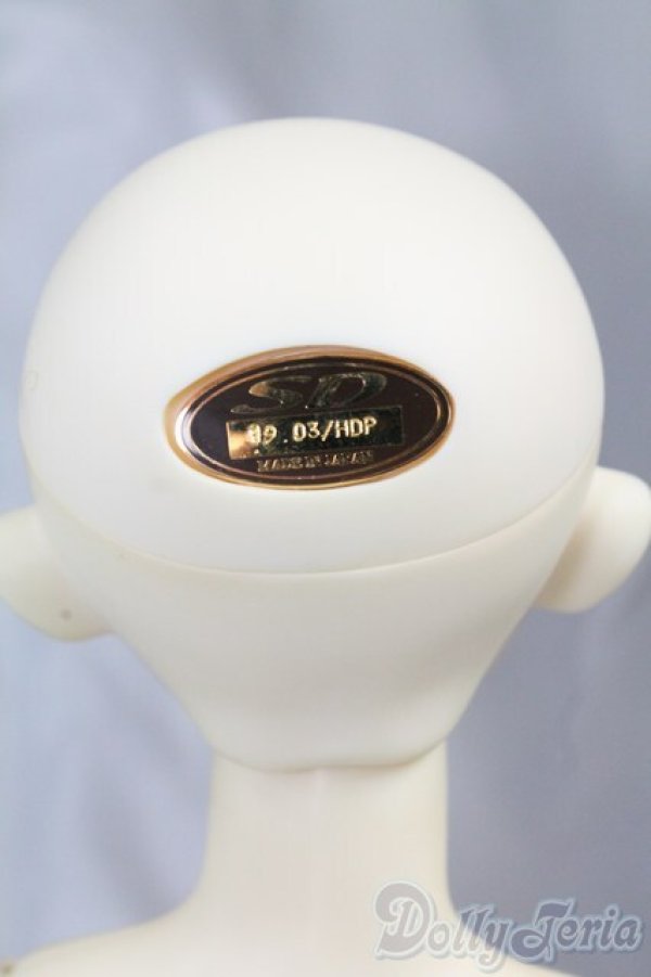 画像8: SDGIRL/リーゼロッテ the Best of the Bests Ver.2019 I-26-02-08-051-KD-ZI (8)