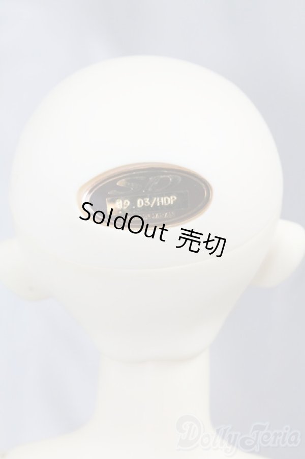 画像8: SDGIRL/リーゼロッテ the Best of the Bests Ver.2019 I-26-02-08-051-KD-ZI (8)