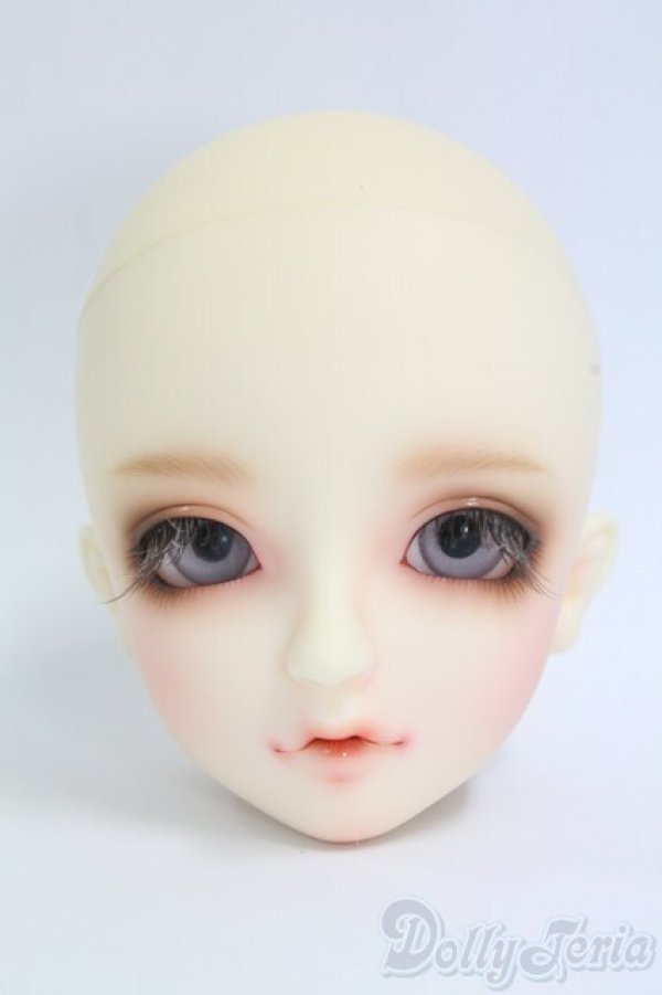 画像1: SD/フルチョイス F-54ヘッド I-26-02-08-070-KD-ZI (1)