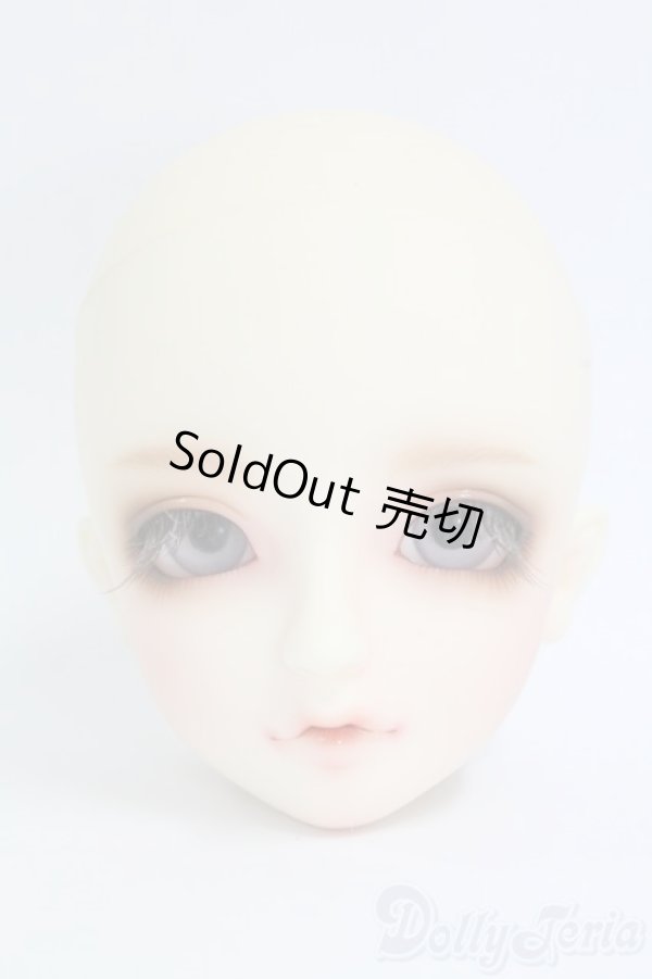 画像1: SD/フルチョイス F-54ヘッド I-26-02-08-070-KD-ZI (1)