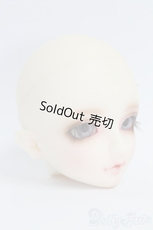 画像2: SD/フルチョイス F-54ヘッド I-26-02-08-070-KD-ZI (2)