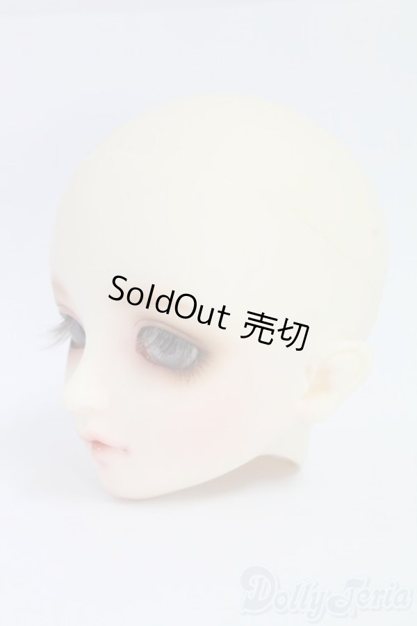 画像3: SD/フルチョイス F-54ヘッド I-26-02-08-070-KD-ZI (3)