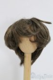 画像1: 9inch/ウィッグ I-26-02-08-094-KD-ZI (1)