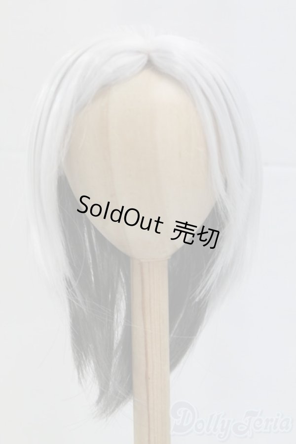 画像1: 9inch/ウィッグ I-26-02-08-210-KD-ZI (1)