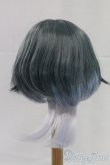 画像2: 8-9inch/ウィッグ I-26-02-08-211-KD-ZI (2)